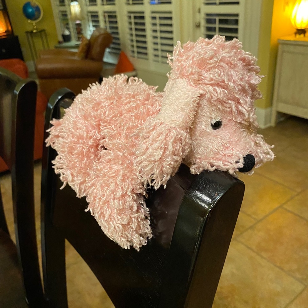 Webkinz - Picture 3 of 4